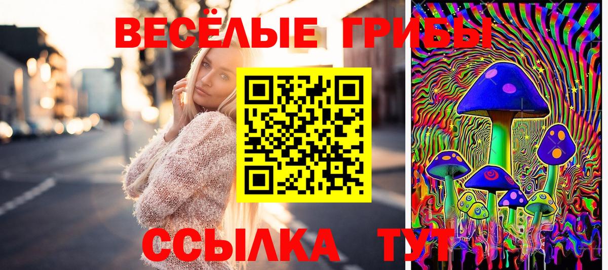 Псилоцибиновые грибы мицелий Ишимбай