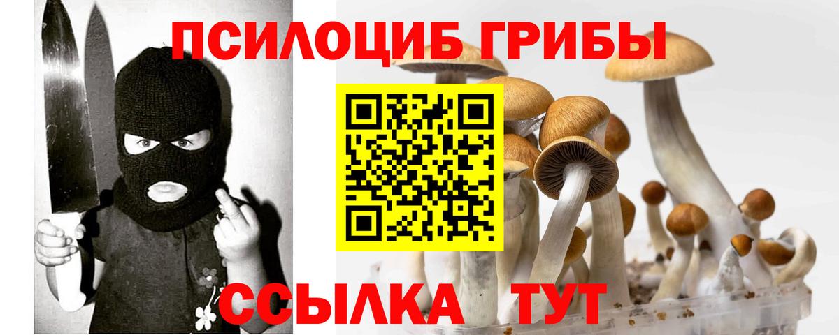 Галлюциногенные грибы Psilocybine cubensis  Вход с VPN  Ишимбай 